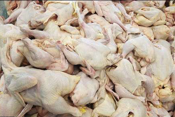 آخرین تحولات بازار مرغ/ قیمت هر کیلو مرغ ۱۶ هزار تومان