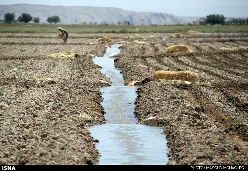 اجرای طرح آبیاری تحت ‌فشار در 11 هزار هکتار اراضی گچساران
