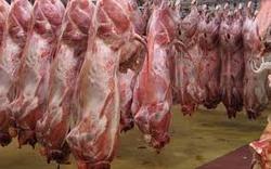 کاهش ۵ هزار تومانی قیمت گوشت در بازار/ قیمت هر کیلو شقه گوسفندی به ۹۰ هزار تومان رسید