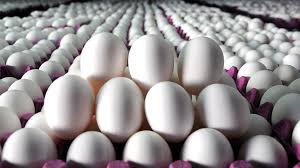 انواع تخم مرغ در بازار چند؟