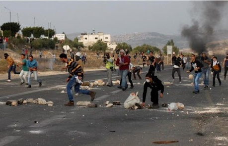 مجروحیت  ۲۶۸ فلسطینی در اعتراضات به شهرک‌سازی