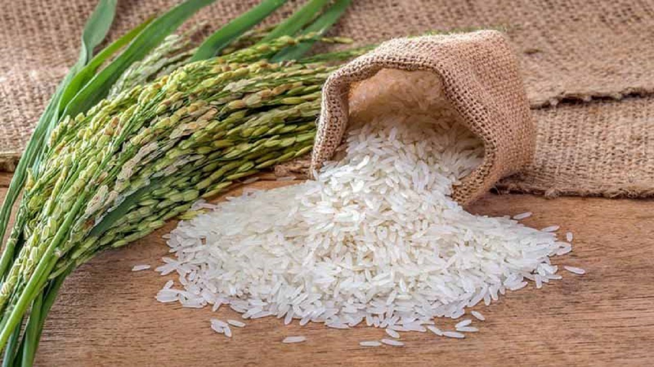 پیشنهاد واردات برنج‌ پرمحصول / نرخ برنج هندی بالای ۲۰ هزار تومان است