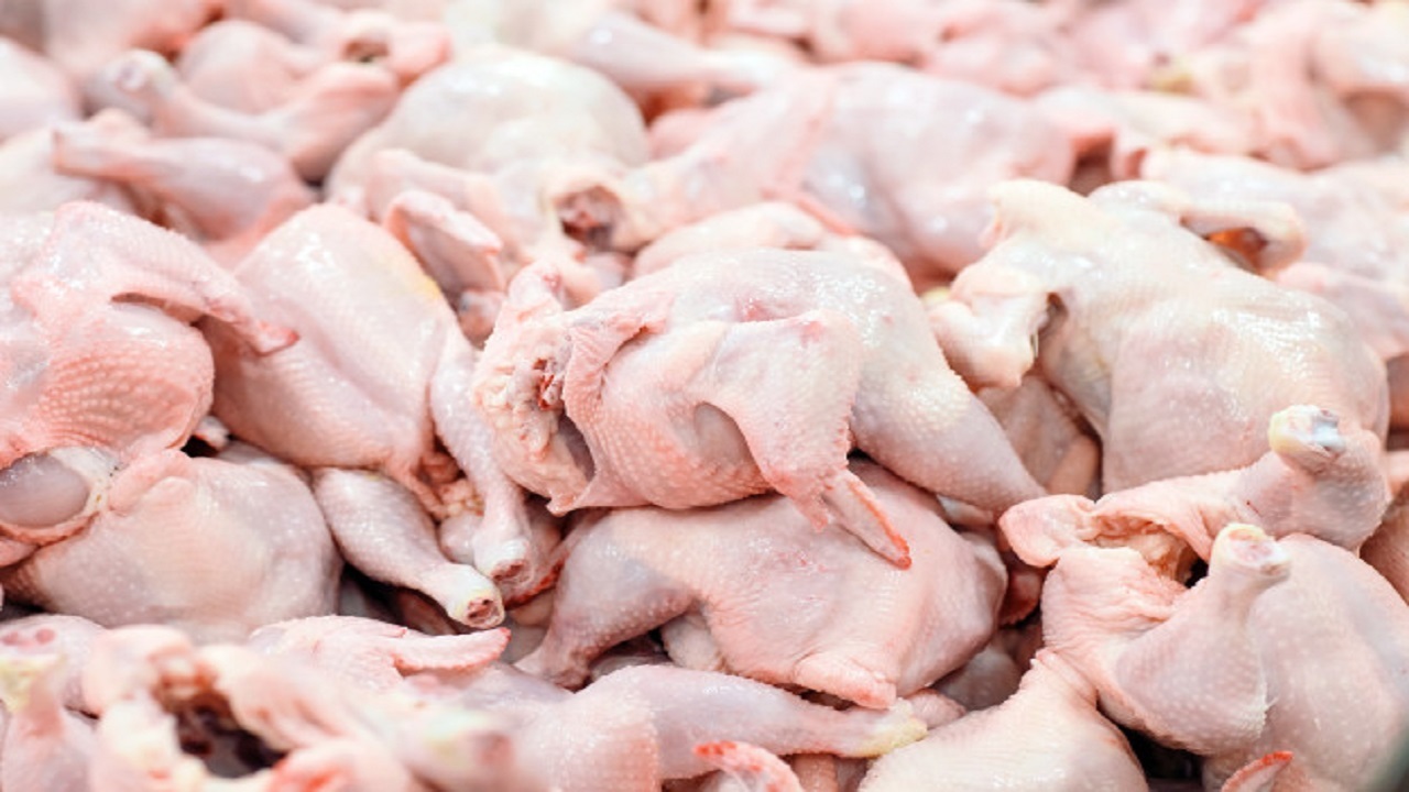 عرضه مرغ با نرخ بالای ۲۱ هزار تومان گرانفروشی است/ کمبودی در عرضه مرغ نداریم